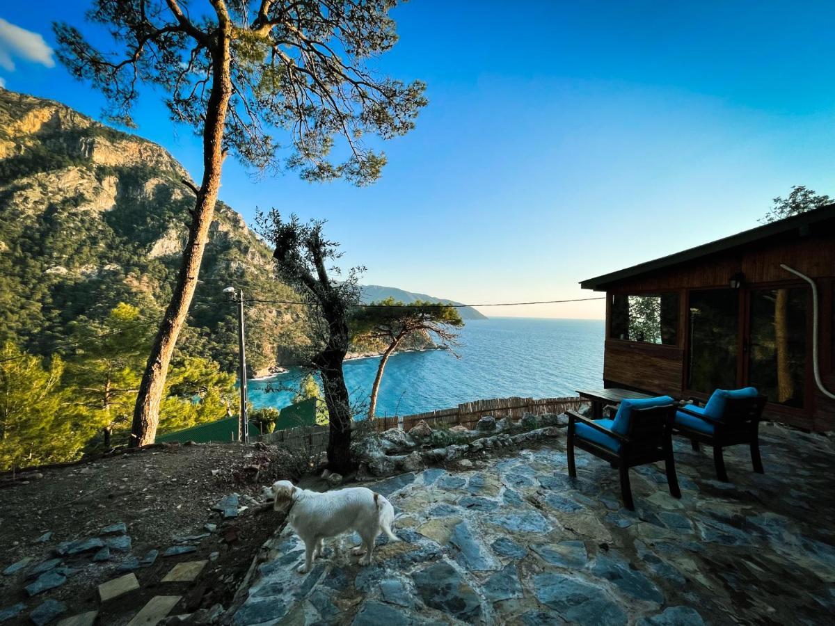 Kabak Uetopya Kamp فاراليا المظهر الخارجي الصورة