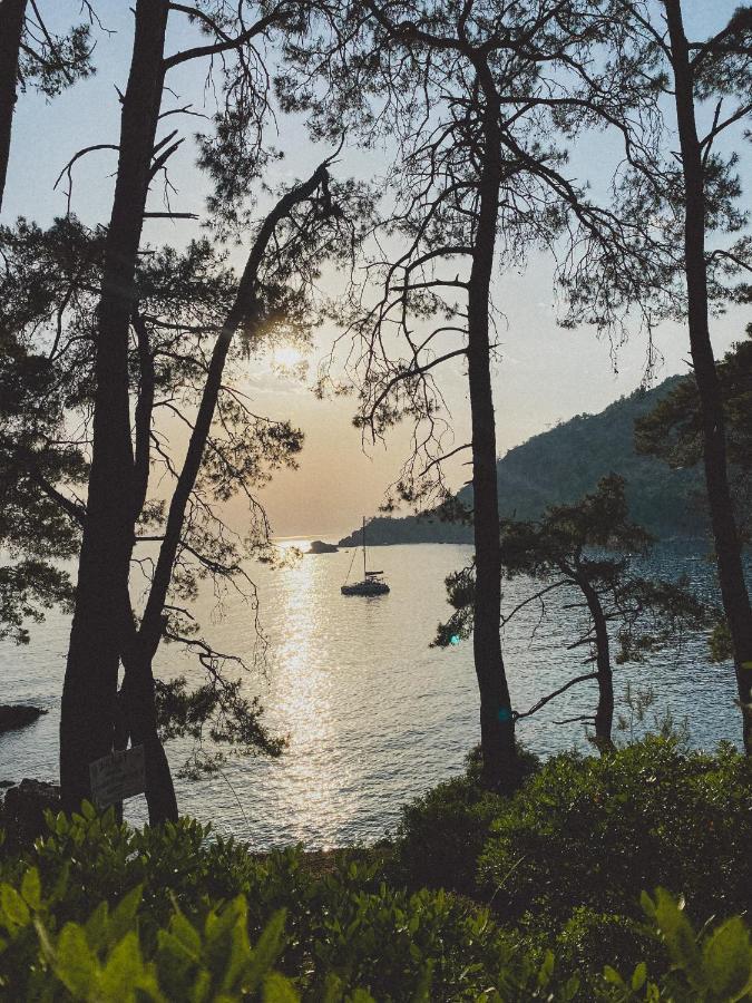 Kabak Uetopya Kamp فاراليا المظهر الخارجي الصورة