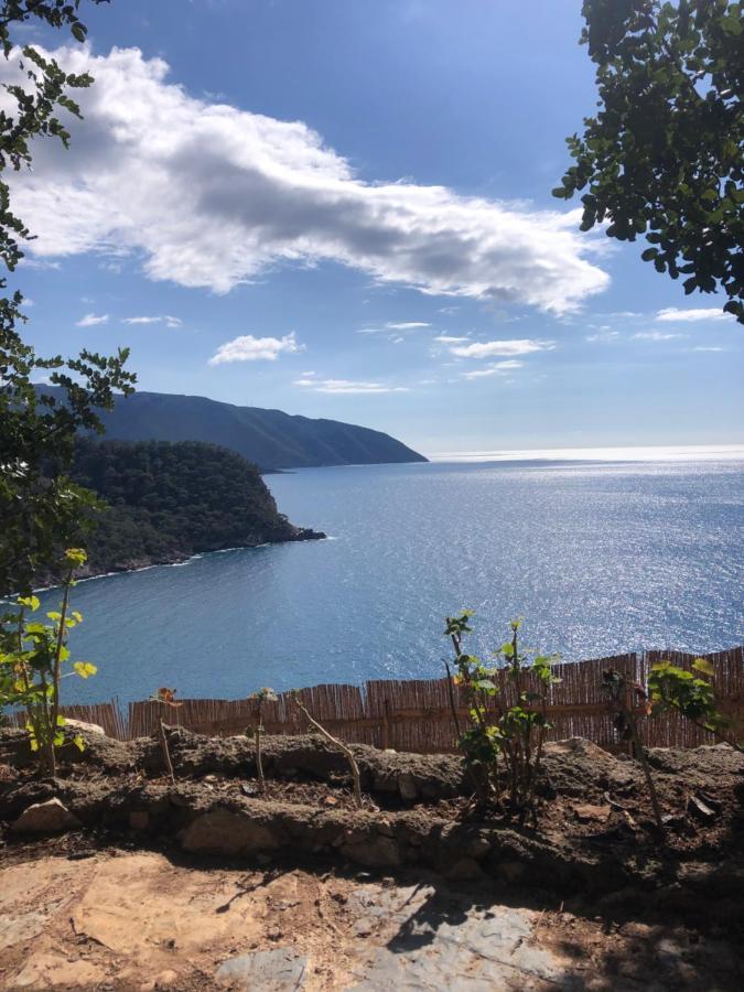 Kabak Uetopya Kamp فاراليا المظهر الخارجي الصورة