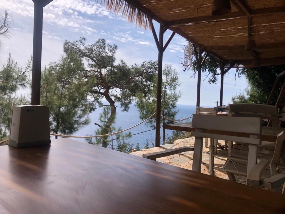 Kabak Uetopya Kamp فاراليا المظهر الخارجي الصورة